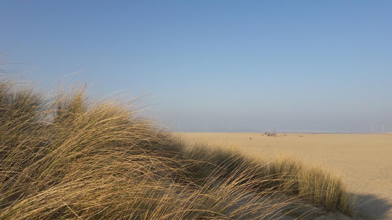 Vakantiehuizen Hofstede Elzenoord Vrouwenpolder Exterior foto
